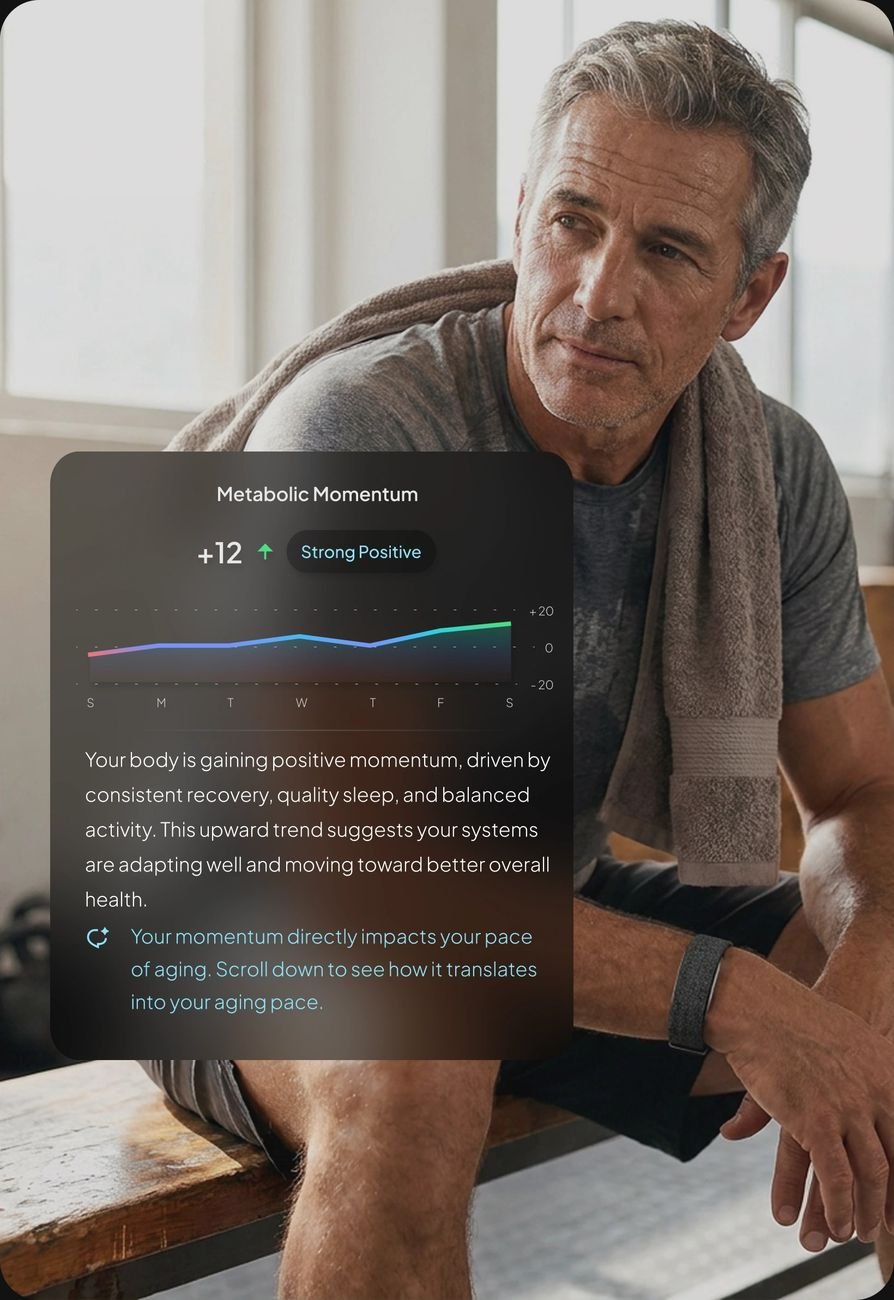 Hume-Band-Dashboard zeigt einen steigenden Metabolic-Momentum-Wert